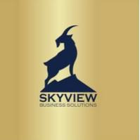 Business Consultation Services in Indiana - Skyview Business Solutions