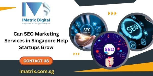 Can SEO marketing services in Singapore help startups grow?