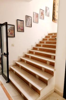 Carpet Store Near Me | Luxury Rugs at Best Prices | Saraswati Global