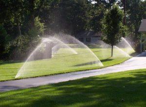 Doctor Sprinkler