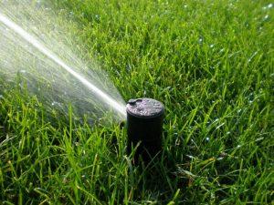 Doctor Sprinkler