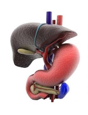 Gastrointestinal Cancer Surgeon in Dehradun | Dr. Sachin Arora