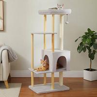 Give your feline the throne they deserve  with this 53