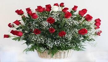 Happy Fathers Day Flowers Napa