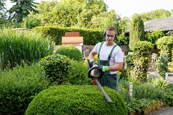 Landscape Architects in Belmont - Marion Landscape Construction