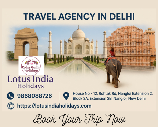 Lotus India Holidays – The Best Tourism Agency & Trusted Travel Agency in Delhi