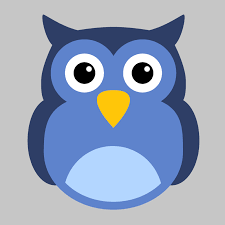 Scale Owl Digital Marketing