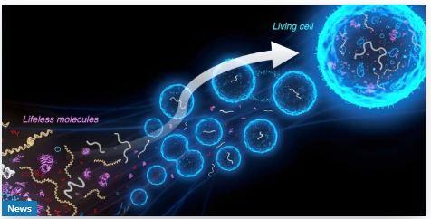 Scientists Form Synthetic Cells Change Shape When Exposed to Light