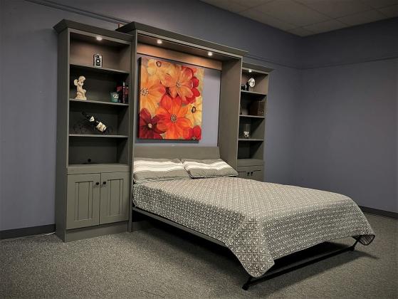 Space-Saving Bookcase Wall Bed – Stylish & Functional