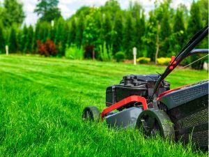 Tornado Pest Control And Pressure Washing Solutions LLC