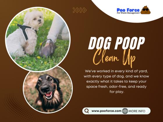 Poo Force Dog Poop Clean Up