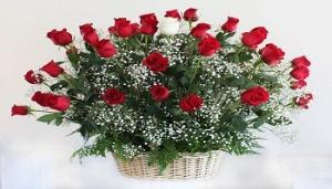 Happy Fathers Day Flowers Napa