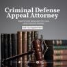 Appellate Criminal Lawyer – AppealCounsel