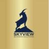 Business Consultation Services in Indiana - Skyview Business Solutions