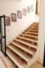Carpet Store Near Me | Luxury Rugs at Best Prices | Saraswati Global