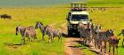 Exclusive Tanzania Luxury Safari Tours – Explore Africa in Style