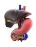 Gastrointestinal Cancer Surgeon in Dehradun | Dr. Sachin Arora