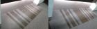 Get fast-tracked services and zero chemical use with Carpet Dry Cleaning Adelaide