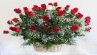 Happy Fathers Day Flowers Napa