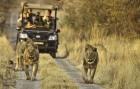 Luxury African Safari Vacation Packages by Kwesa Tours