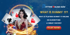 What is Rummy 11? Why is Playing Rummy 11 Online on Rummytime a Great Choice?