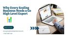 Why Every Scaling Business Needs a Go High Level Expert