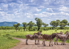 Best Johannesburg Day Tours Package for Travelers