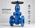 Buy High-Quality Gate Valves from Leading Indian Manufacturer