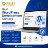Best WordPress Development Services for Small & Large Businesses